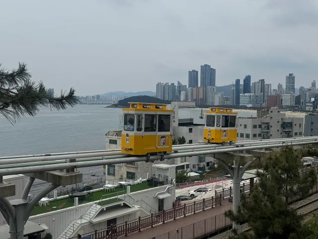 קרונות קפסולה צהובים על מסילה מוגבהת מול הים והעיר